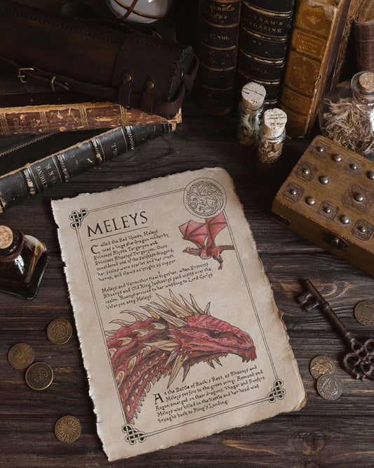 Meleys Dragon Scroll Art Print